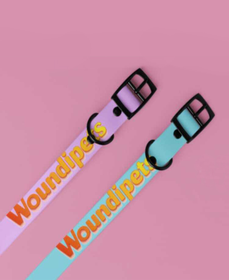 Colliers pour animaux