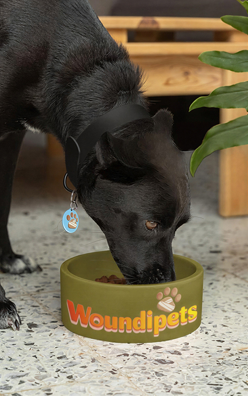 Woundipets pet bowl