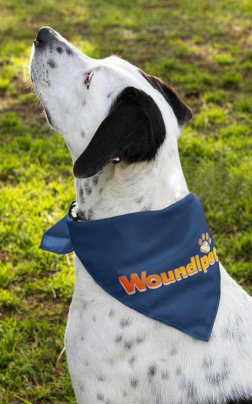 Woundipets pet bandana