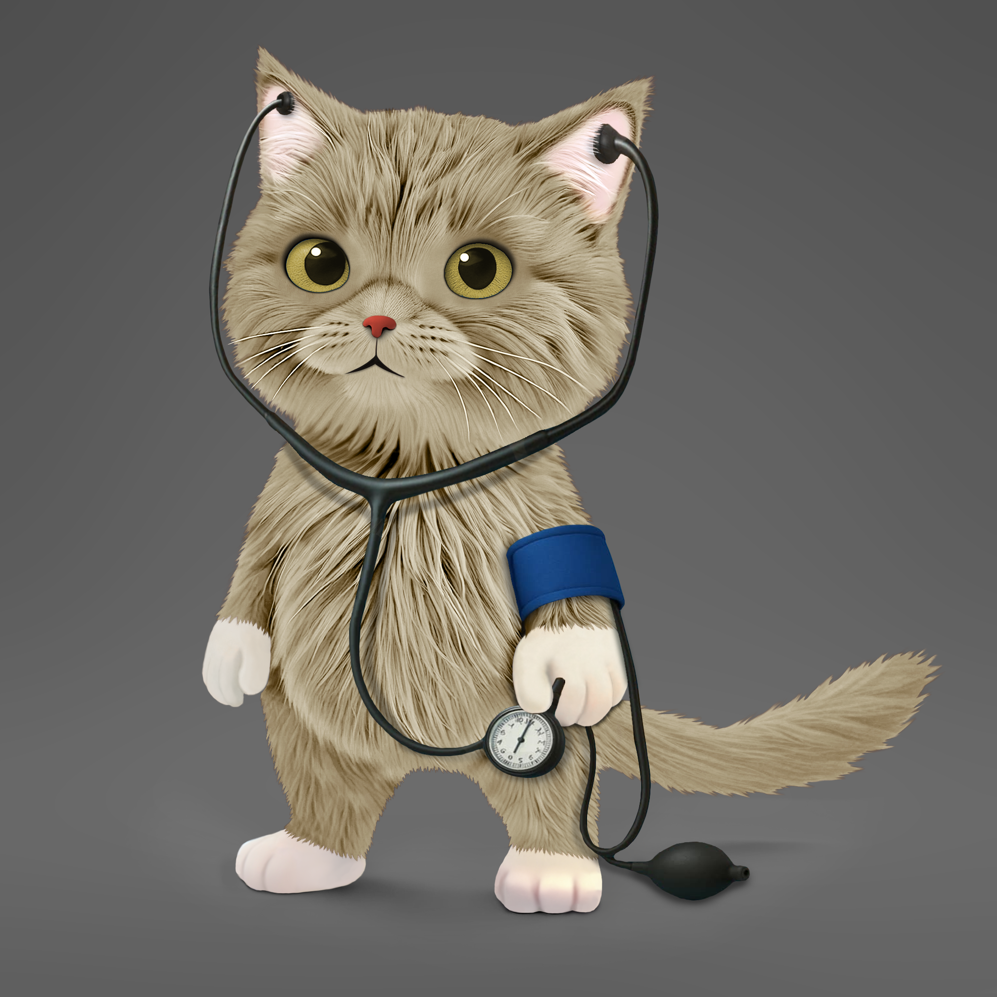 Woundipets™ cat model 12